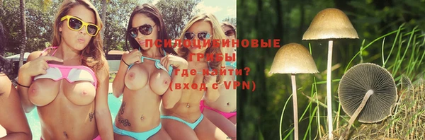 jwh Нефтекумск