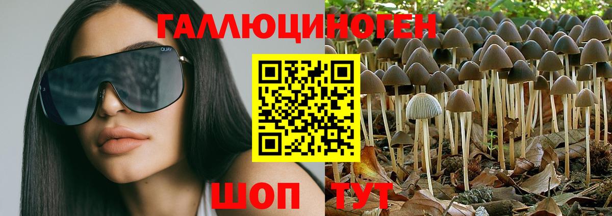 купить наркотик  Псилоцибиновые грибы Psilocybine cubensis  Лабинск  Галлюциногенные грибы мухоморы 