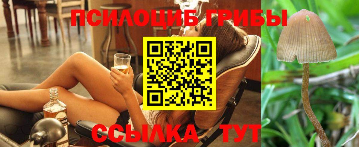 магазин продажи   Вход с VPN  Лабинск  Псилоцибиновые грибы GOLDEN TEACHER  Псилоцибиновые грибы мухоморы 